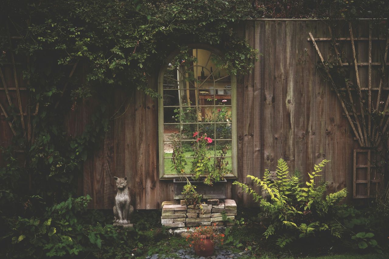 Blog post header image